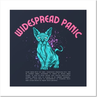 widespread panic Posters and Art